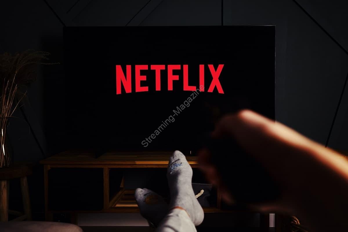 Netflix Free : comment avoir Netflix sur sa Freebox ?