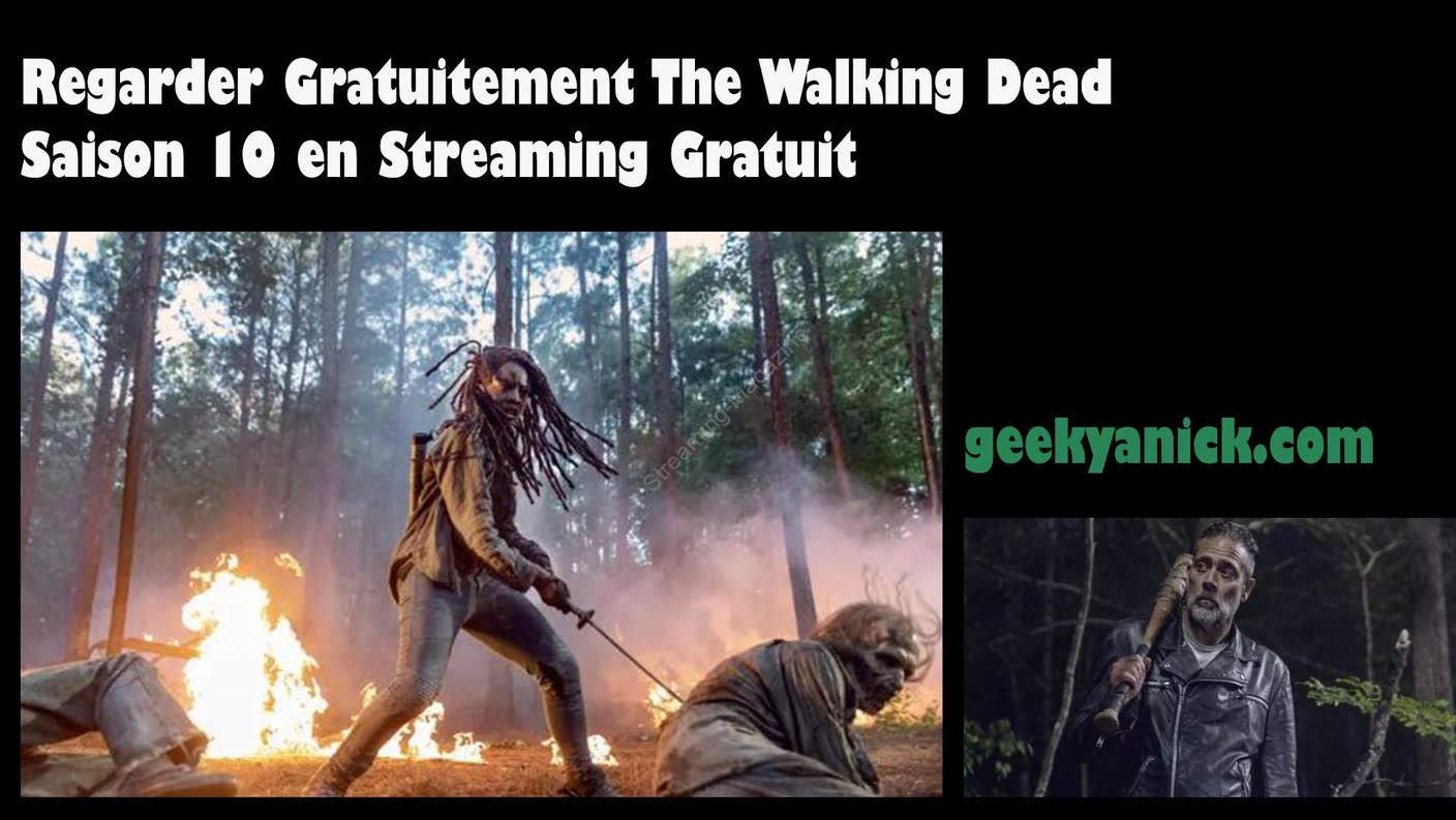 The Walking Dead saison 10 : regarder sur Netflix
